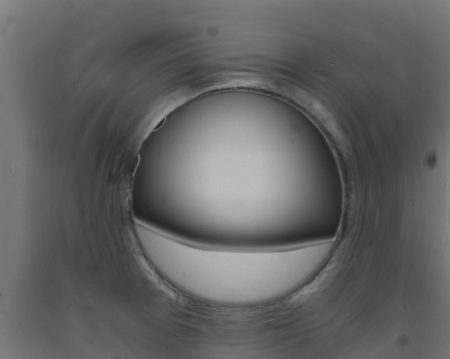 X0000093731377200710160804