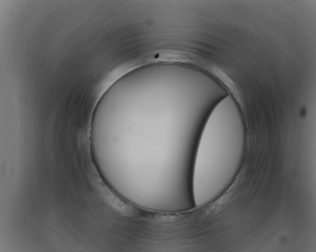 X0000093731378200710160804