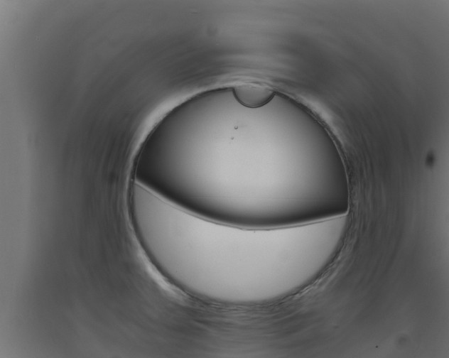 X0000093731379200710160804