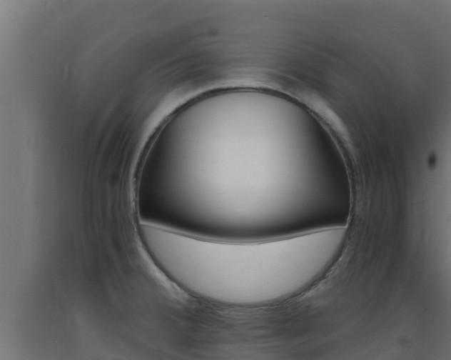X0000093731380200710160804
