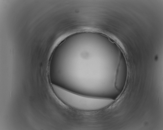 X0000093731381200710160804