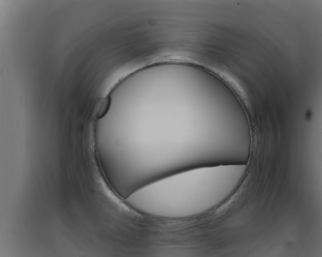 X0000093731382200710160804