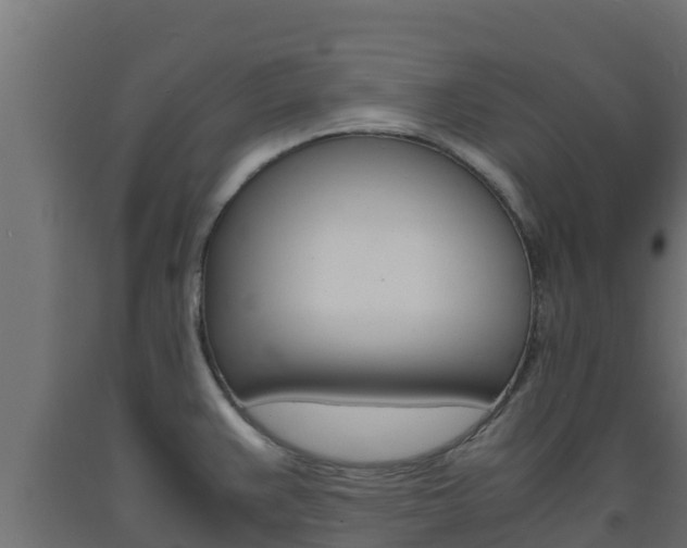 X0000093731383200710160804