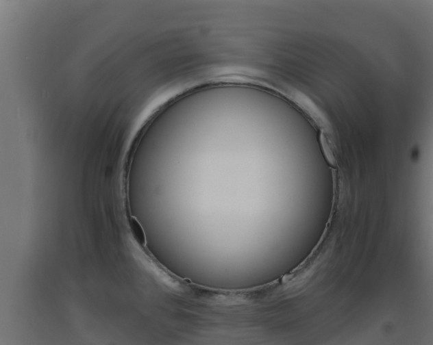 X0000093731384200710160804