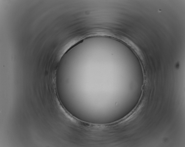 X0000093731385200710160804