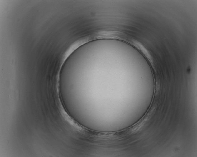 X0000093731386200710160804