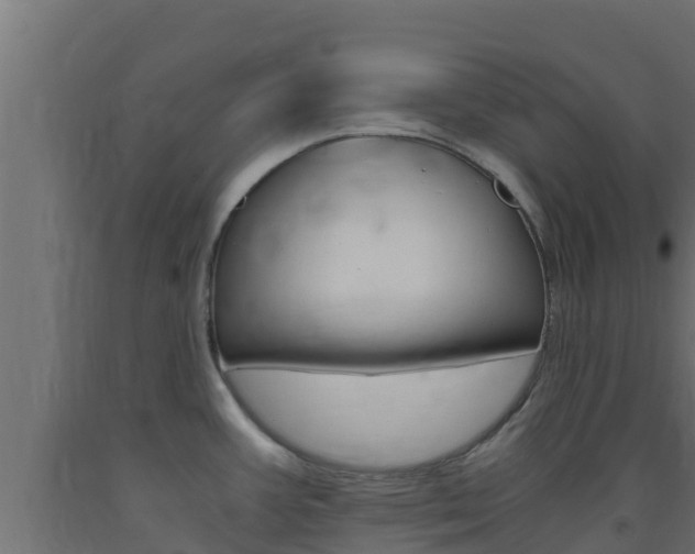X0000093731387200710160803