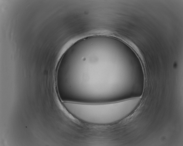 X0000093731389200710160803