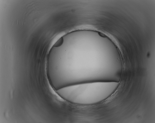 X0000093731390200710160803
