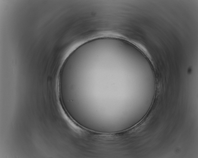 X0000093731391200710160803