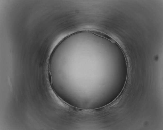X0000093731392200710160803
