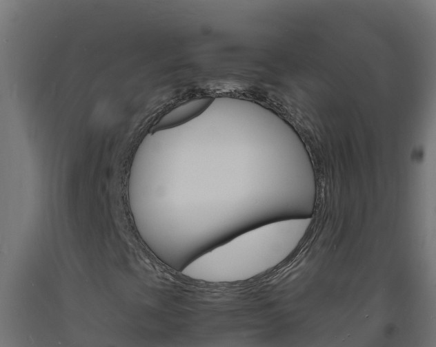 X0000093731393200710160803