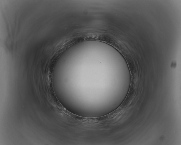 X0000093731394200710160803