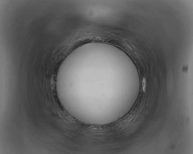 X0000093731395200710160803