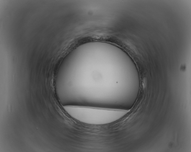 X0000093731396200710160803