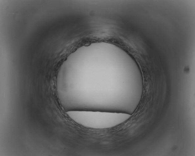 X0000093731397200710160803