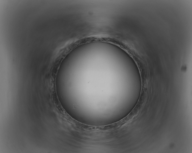 X0000093731398200710160803