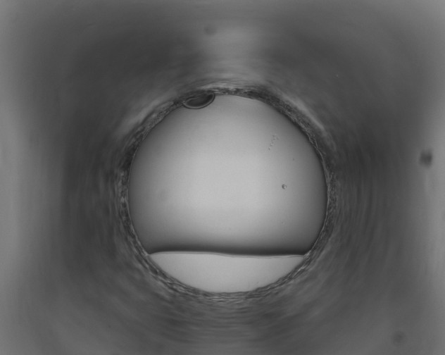 X0000093731399200710160803