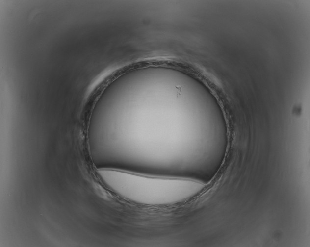 X0000093731400200710160803