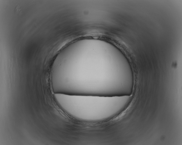 X0000093731401200710160803