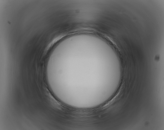 X0000093731402200710160803