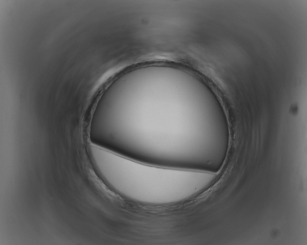 X0000093731404200710160803