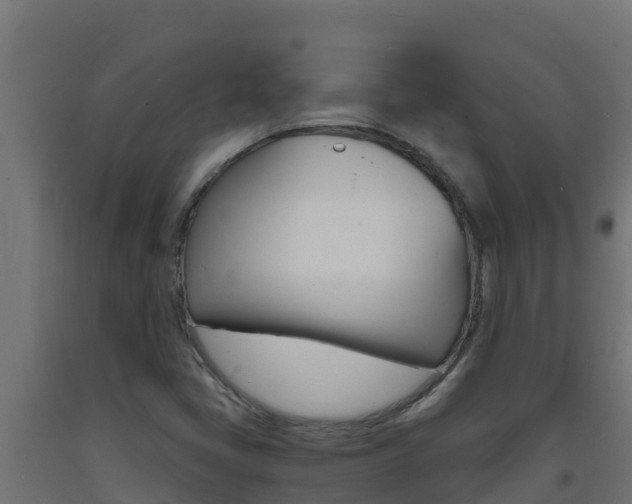 X0000093731405200710160803