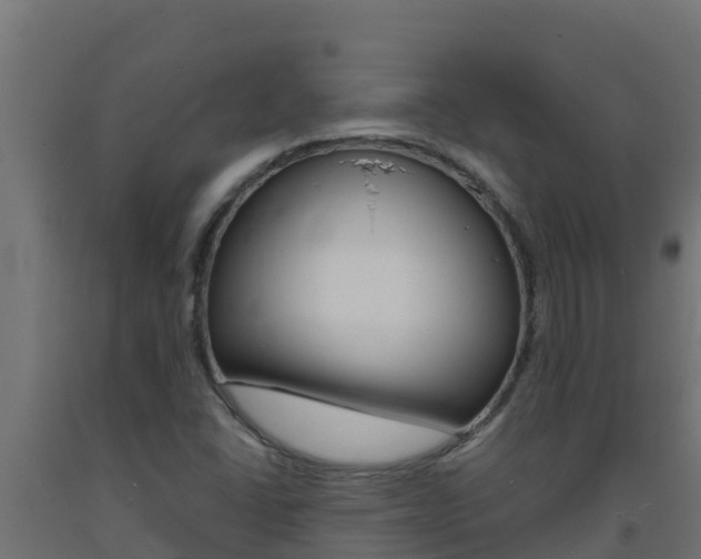 X0000093731406200710160803