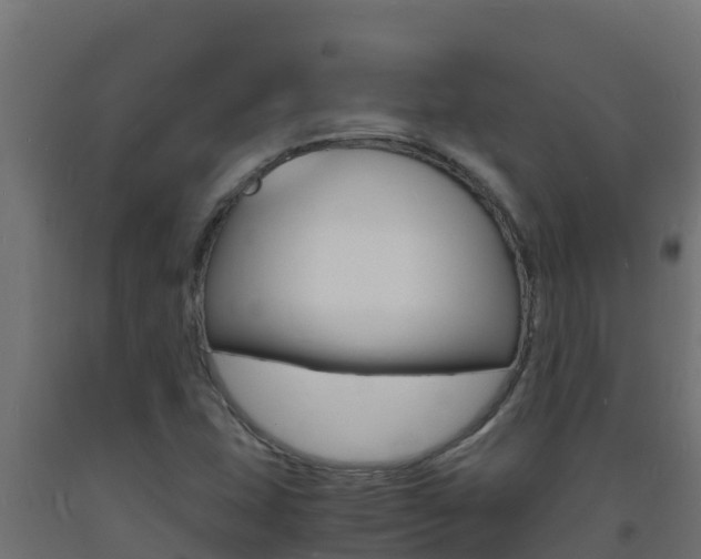 X0000093731407200710160803