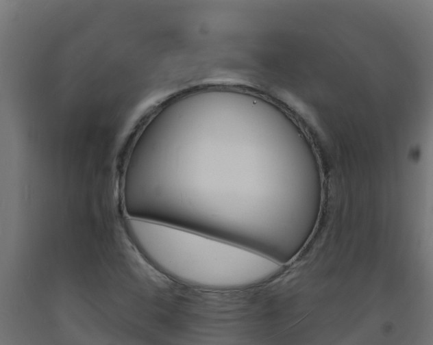 X0000093731408200710160803