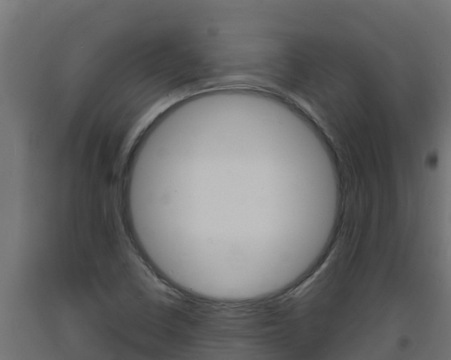 X0000093731410200710160803