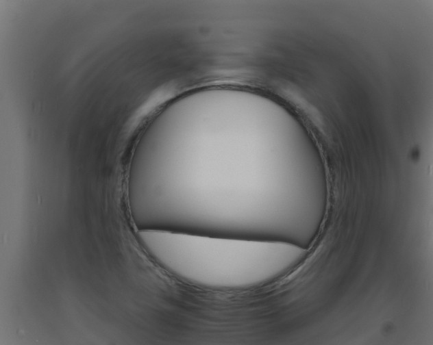 X0000093731411200710160803