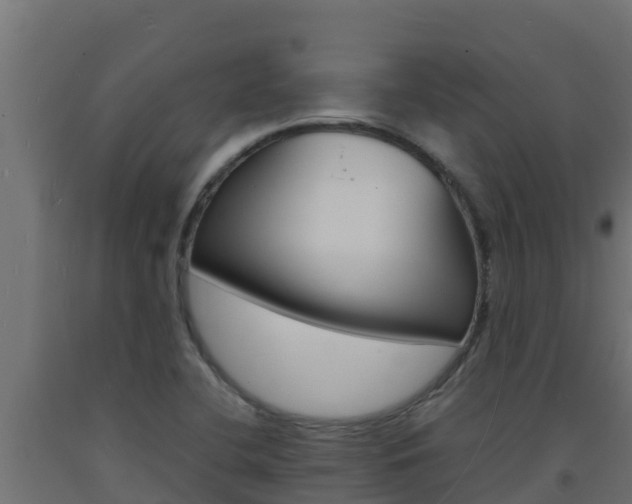 X0000093731412200710160803