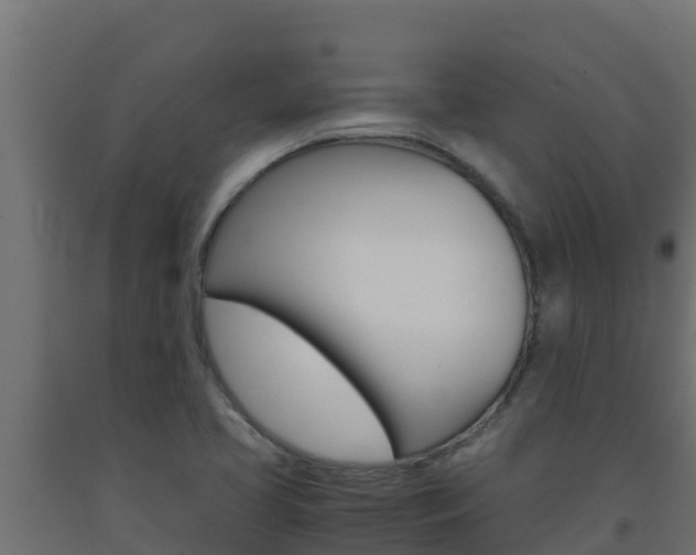 X0000093731413200710160803