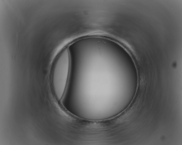 X0000093731414200710160803