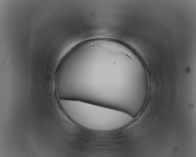 X0000093731415200710160803