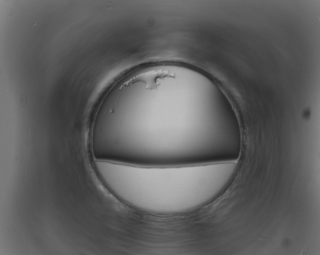 X0000093731416200710160803