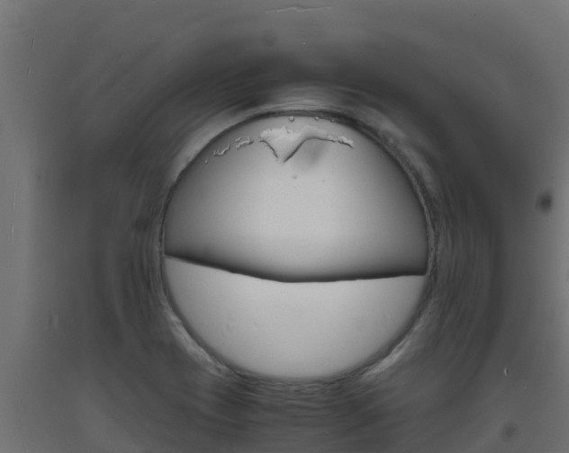 X0000093731417200710160803