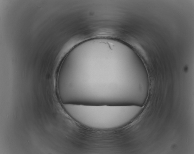 X0000093731419200710160803