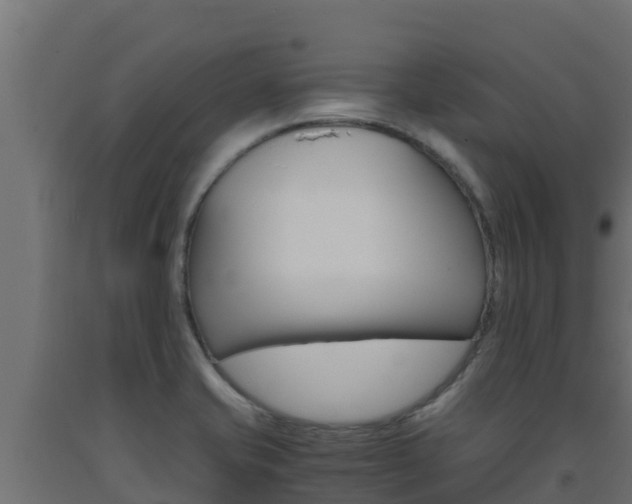 X0000093731421200710160803