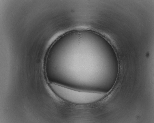 X0000093731422200710160803