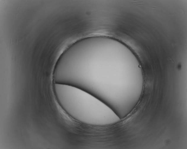 X0000093731423200710160803