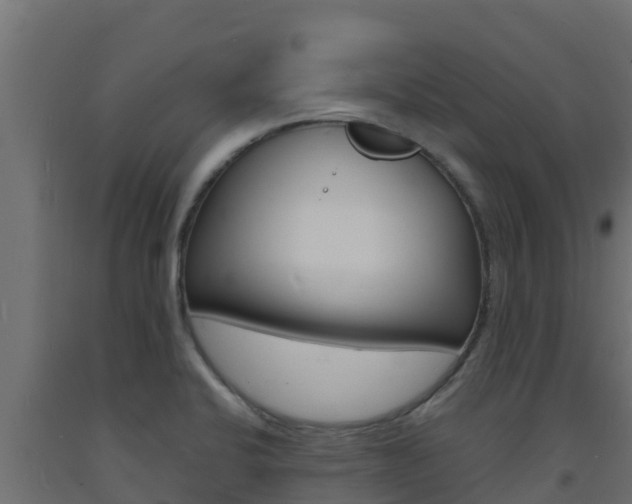 X0000093731424200710160803