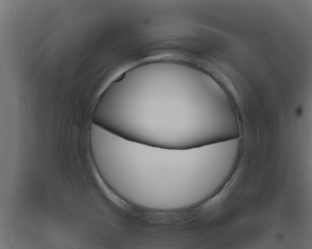 X0000093731425200710160803