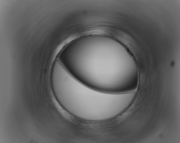X0000093731426200710160803