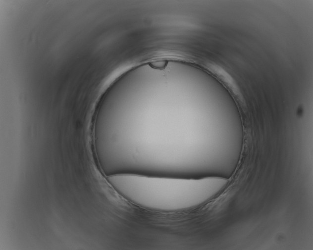 X0000093731427200710160803