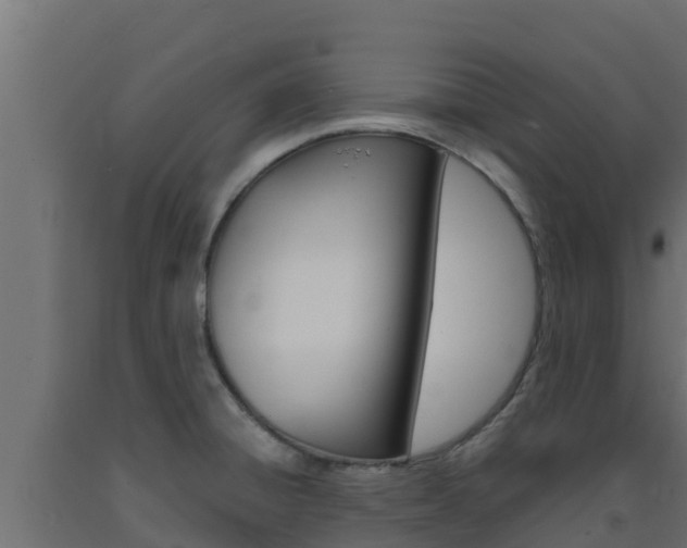 X0000093731428200710160803