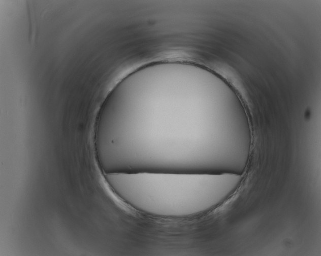 X0000093731429200710160803