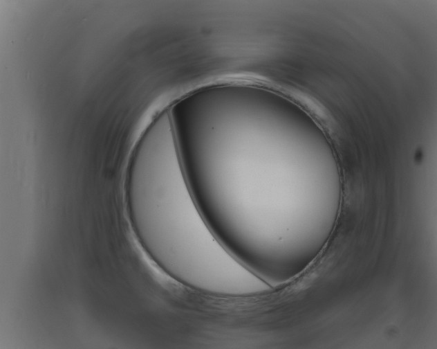 X0000093731430200710160803