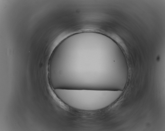 X0000093731431200710160803